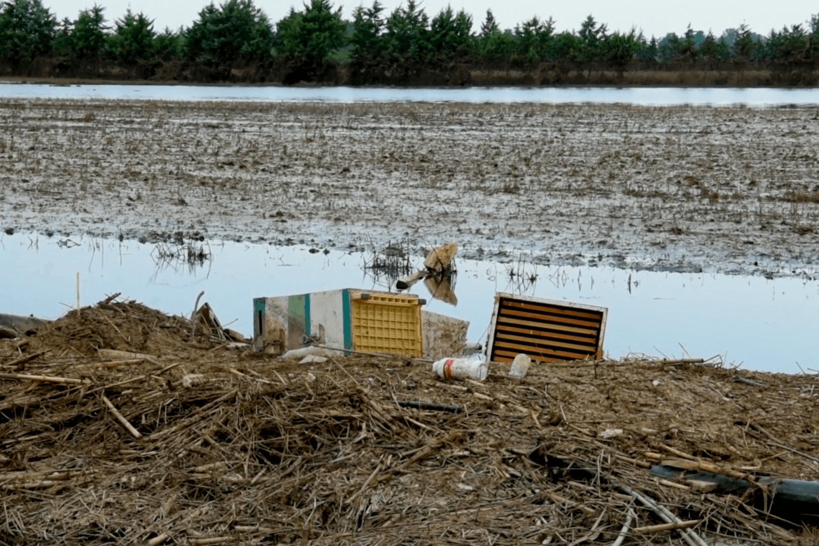 A photo of damaged beehives in a muddy field
