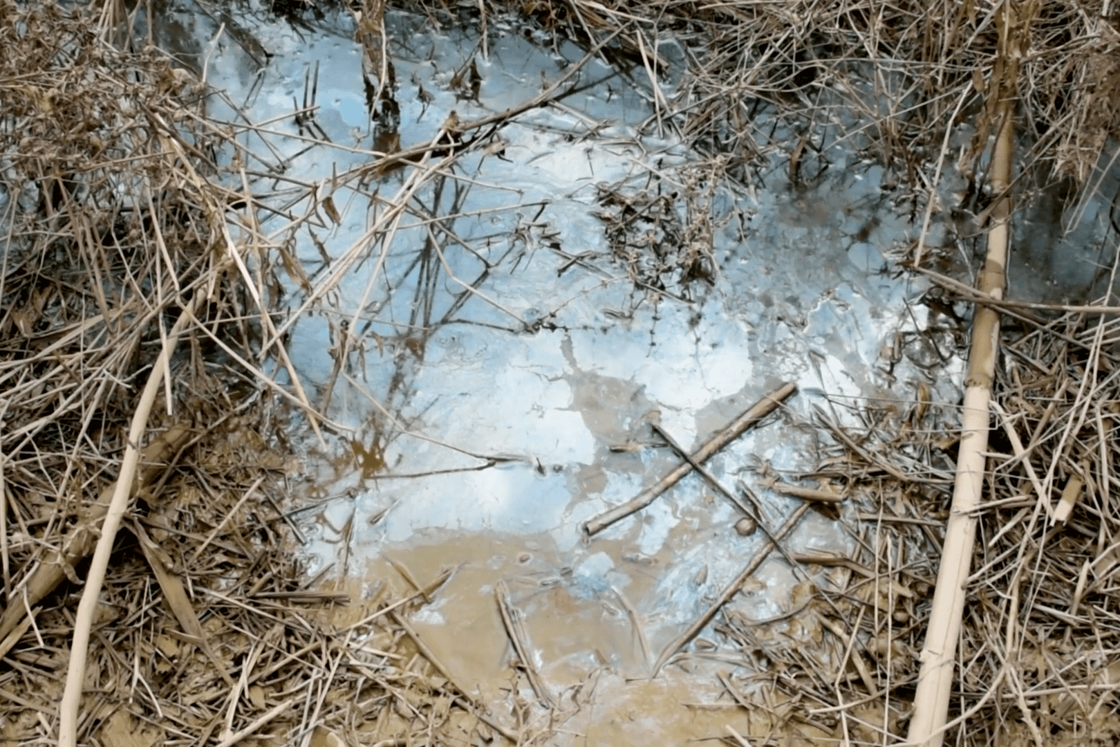 Oil in a muddy puddle