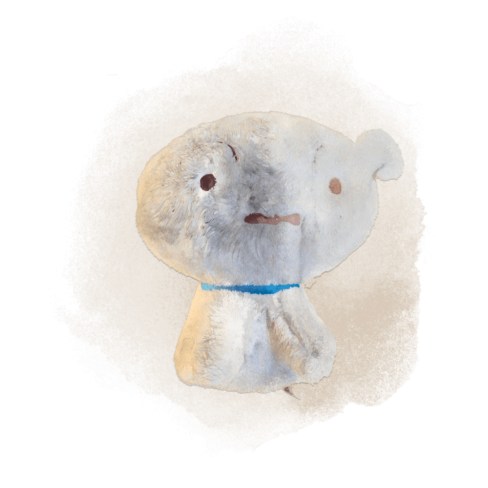 A watercolour illustration of Shane's object of memory: a stuffed toy